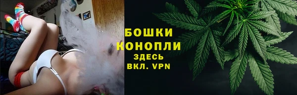 шишки Семилуки