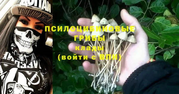 эйфоретик Алексеевка