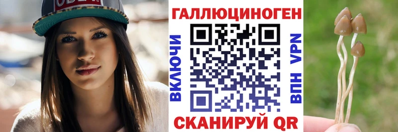 Галлюциногенные грибы Psilocybe  Хадыженск 